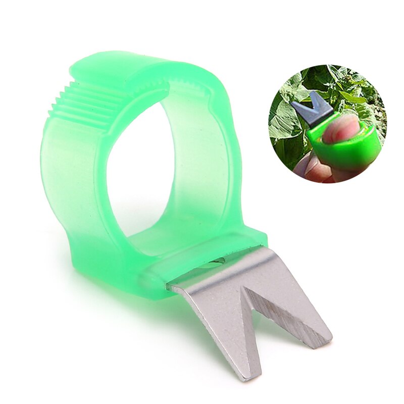 Ootdty garden v flad t model tomat agurk druefrugtblad værktøj ring melon saks