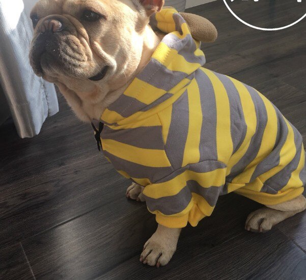 [MPK Pets] ropa de Bulldog Francés, ropa de perro a rayas anaranjadas y amarillas, suéter para perro: Yellow / XS