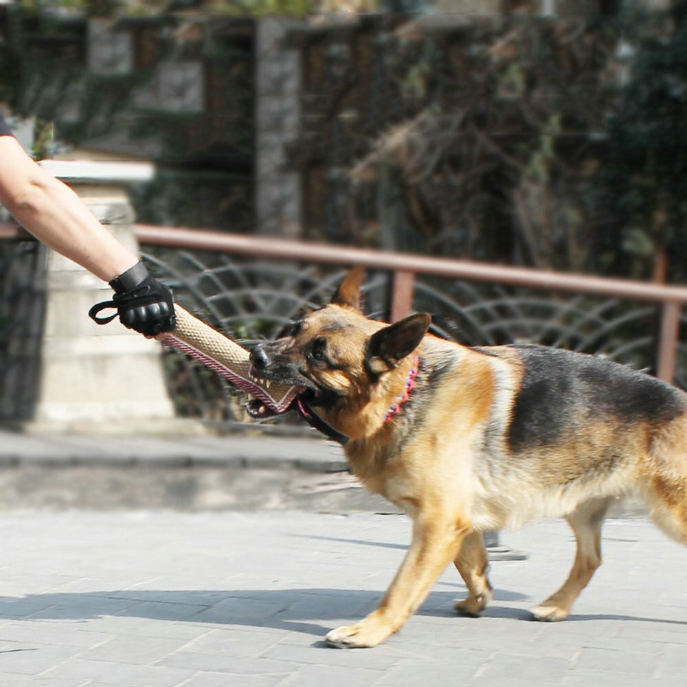 Hundetræning lærred / læder legetøj holdbart bidbåd med 2 krigsgreb interaktivt legelegetøj til mellemstore hunde