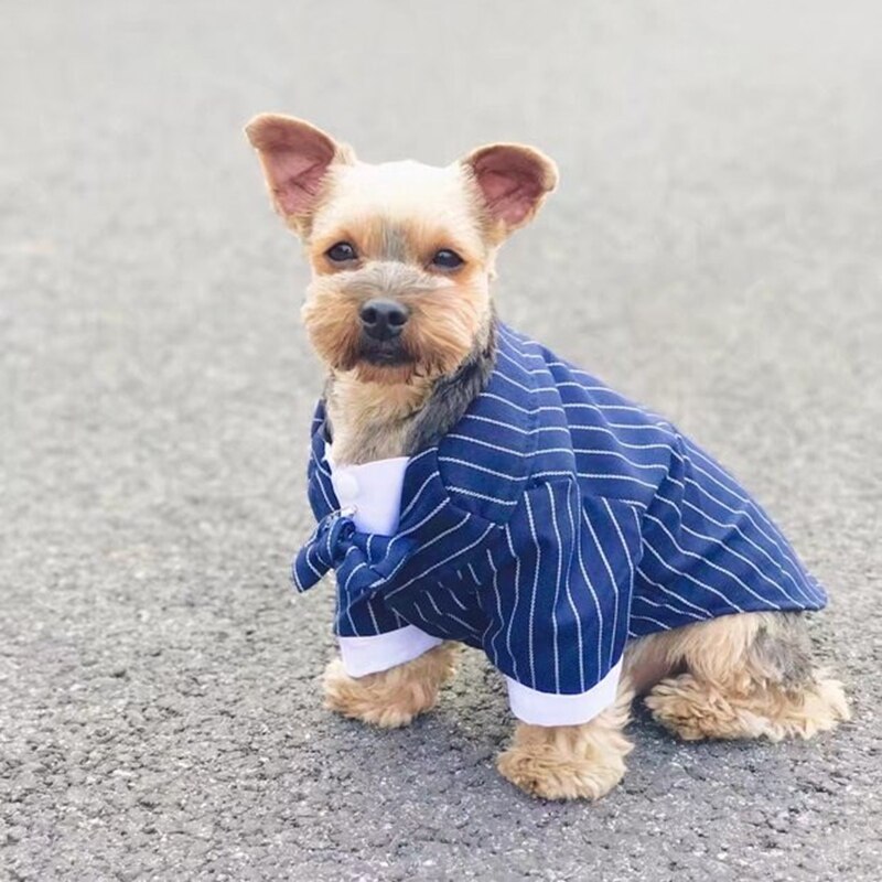 Ropa Formal para perro mascota, traje de boda, traje de esmoquin, ropa para perros pequeños, medianos, Carlino, Doberman, pajarita de Bulldog Francés HYC02