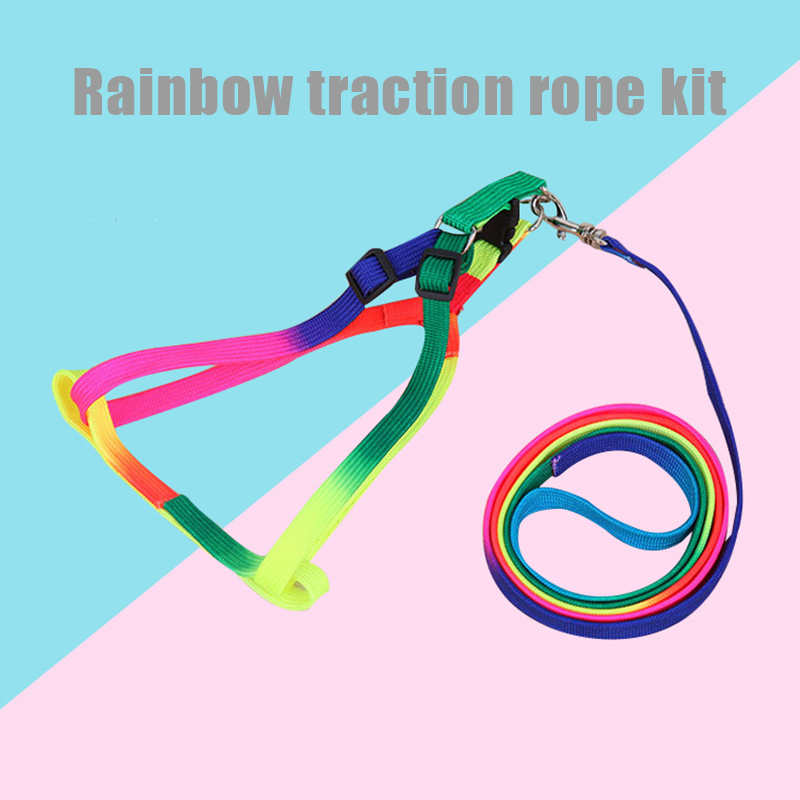 Huisdier Aangelijnd Kit Kleurrijke Borst Terug Trekkabel Mode Regenboog Hond Keten Zachte Puppy Leash