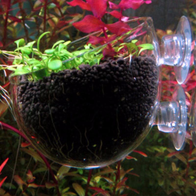 Mini Crystal Glas Waterplanten Fokken Landschap Cup wandmontage met Zuignap Thuis Aquarium Decoratie Zaailing Cup