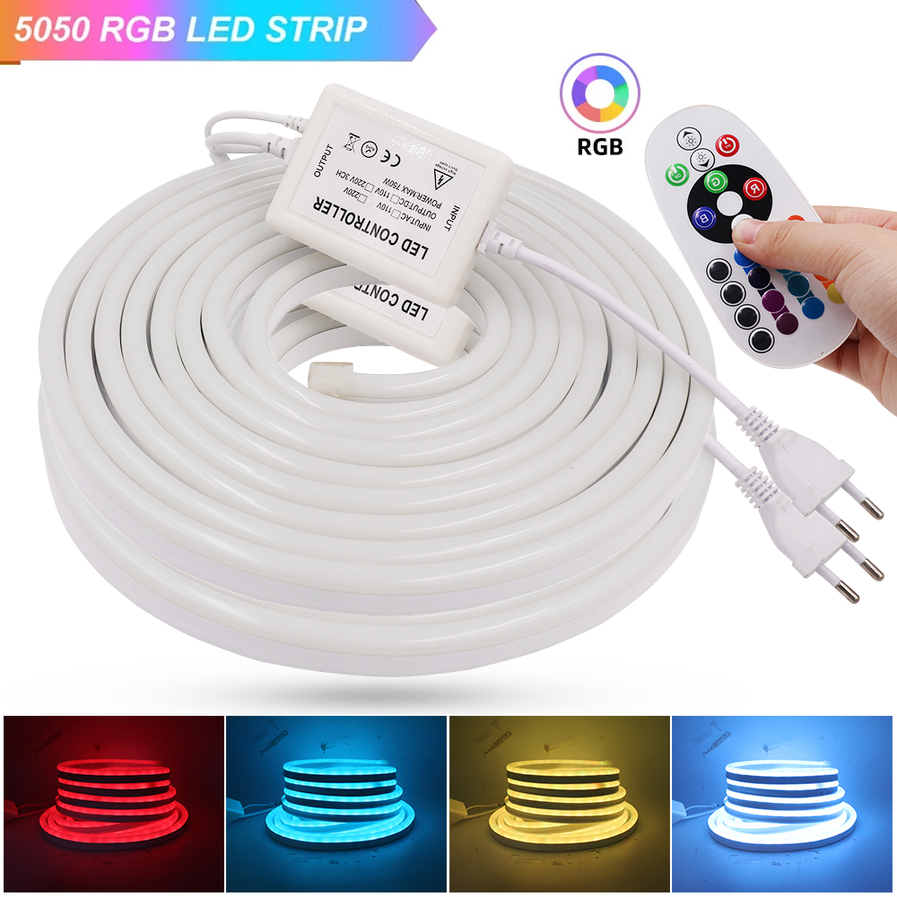 Enseigne au néon étanche avec télécommande, bande lumineuse flexible, ULau néon, SMD 220, 5050, RVB, 80LED/m, 2835 LED/m, 120 V