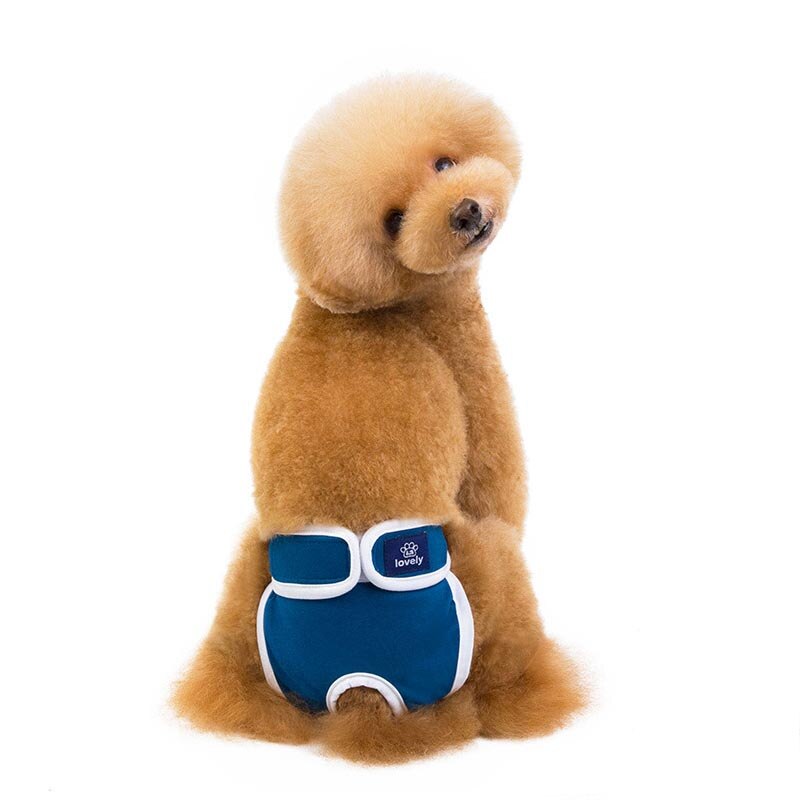 Hund Physiologischen Hosen S-XXL Windel Sanitär Waschbar Weibliche Hund kurze Hose Höschen Menstruation Unterwäsche Slip Gesamt für Hund: Blau / S Brust 28-36CM