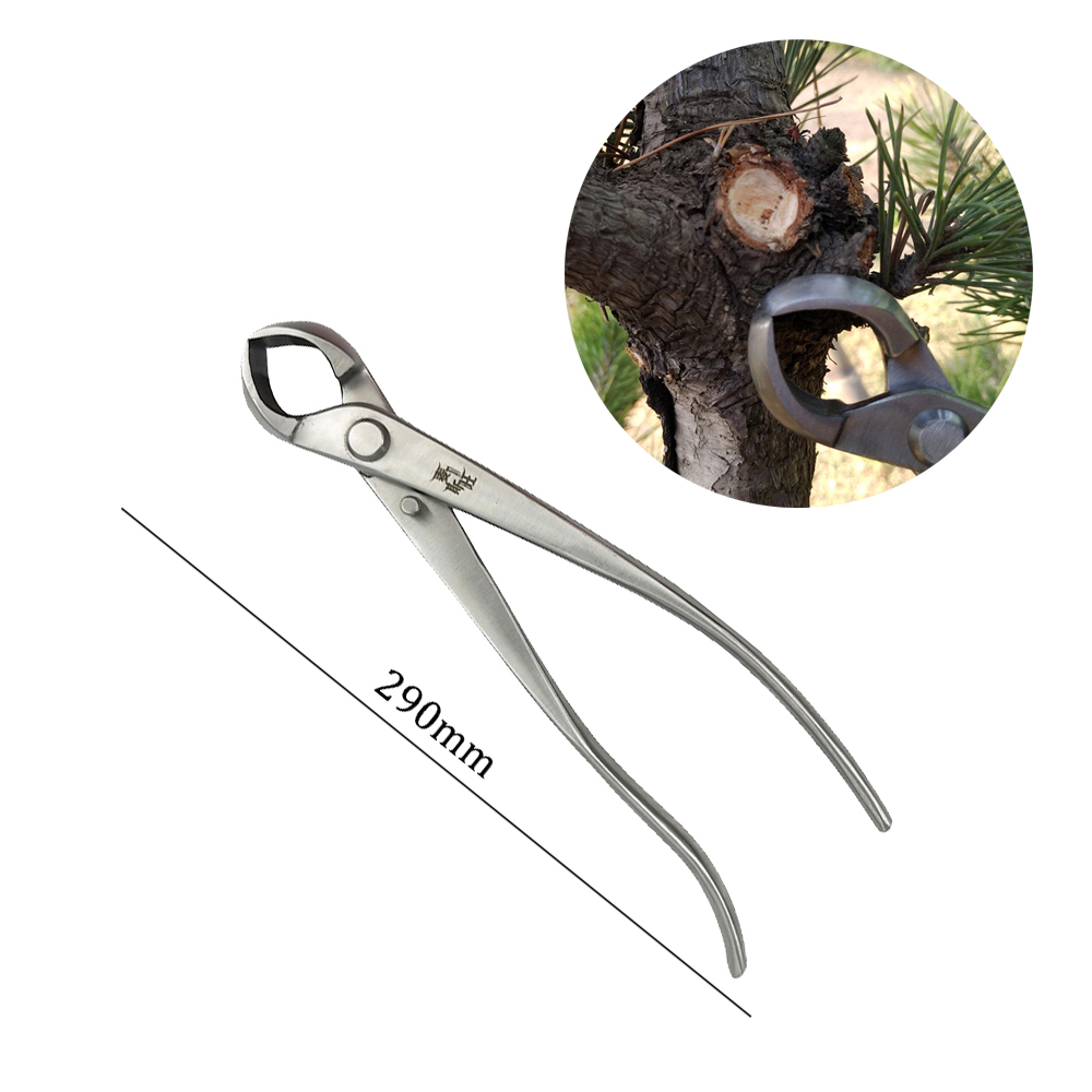 Herramienta de corte de poda de bonsái de acero inoxidable, tijeras para plantas y árboles, cortador de alambre para herramientas de poda de jardín: Rojo