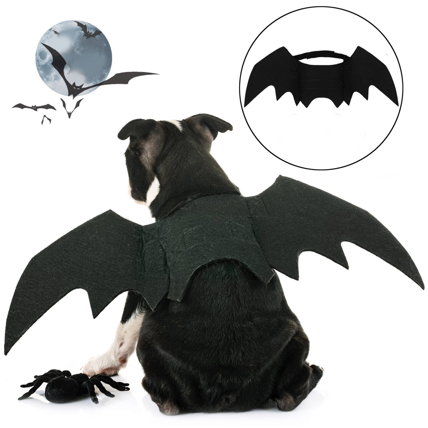 Halloween 1PC Divertente Gatti Cosplay costume animale domestico Ali di Pipistrello gatto pipistrello costume in forma Partito Cani Gatti Che Giocano Accessori per Animali Domestici: Cloth solo