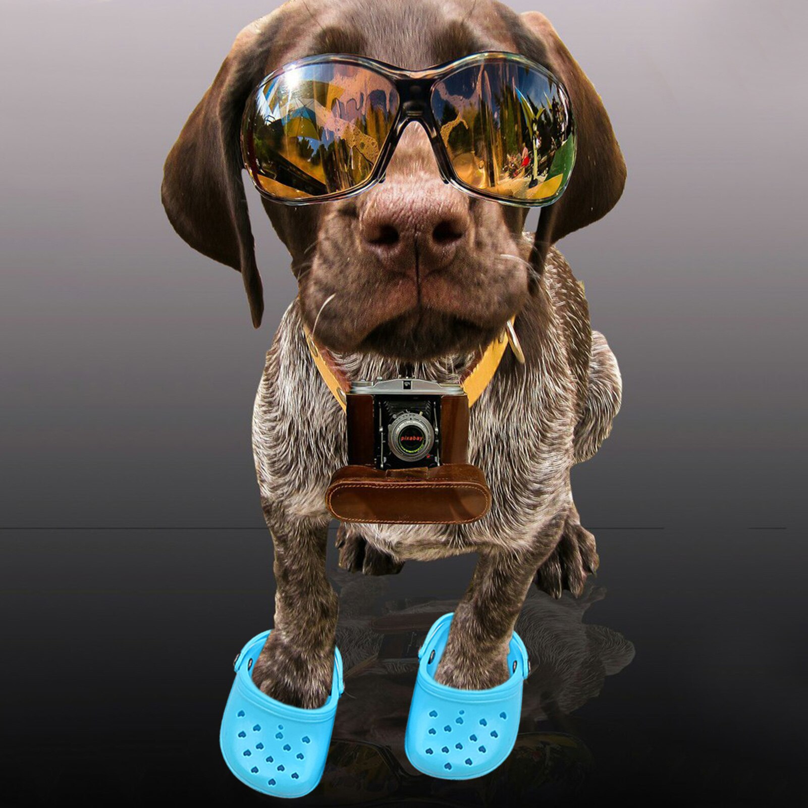 Hund Kauen Spielzeug Haustier Atmungsaktive Hausschuhe Rutschfeste Schuhe Für Große Hund Süßigkeiten Farbige Löchrigen Schuhe Sommer Atmungsaktives Gittergewebe Hund Schuhe