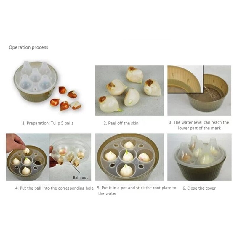 2Sets Tulip Hydroponic Pot 5 Hole Tulip Bulb Hydroponic Special Flower Pot Tulip Flower Pot Hydroponic Flower Pot