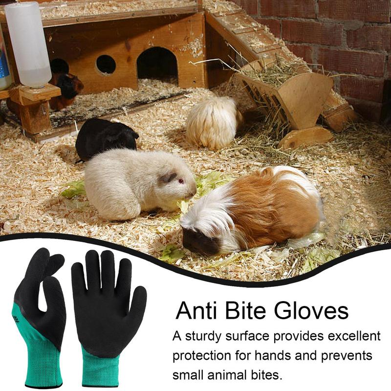﻿ Anti-bijthandschoenen Dierbenodigdheden Hamster Anti-bijthandschoenen Multifunctionele trainingshandschoenen voor huisdieren Verdikte anti-kras Dierbenodigdheden
