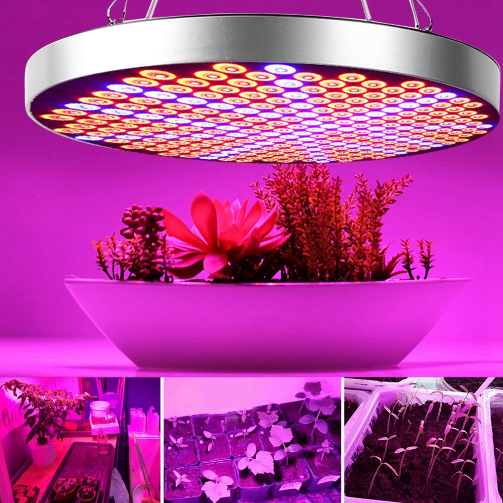 85-265V 50W LED Groeilicht Indoor Planten Licht Volledige Spectrum Ronde Plant Grow Lamp Voor Greenhouse