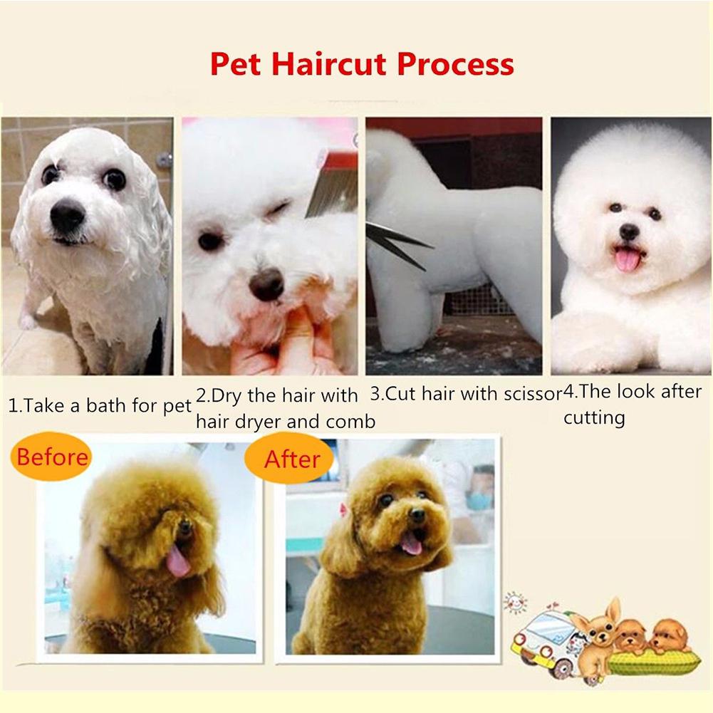 Set de tijeras profesionales de peluquería de 6 pulgadas, tijeras de peluquería, Kit de herramientas para cortar el pelo con peine para el aseo de mascotas, 6 unidades