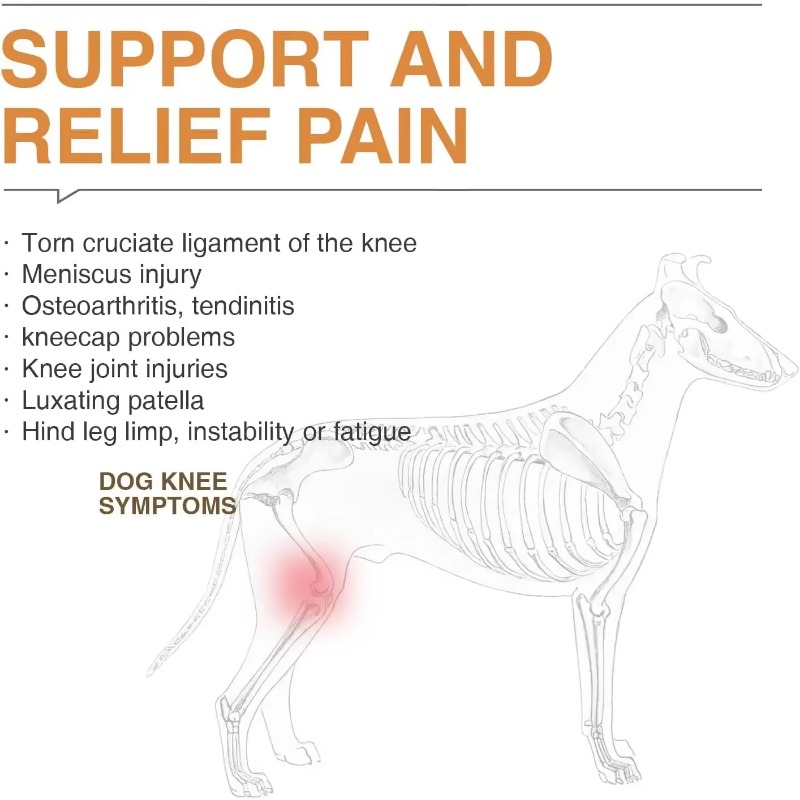 Dog Acl Knee Brace for Torn Acl Leg,Dog Knee Braces for Back Leg Warm Joint and Relieves Joint Pain,Better Recovery For Puppy