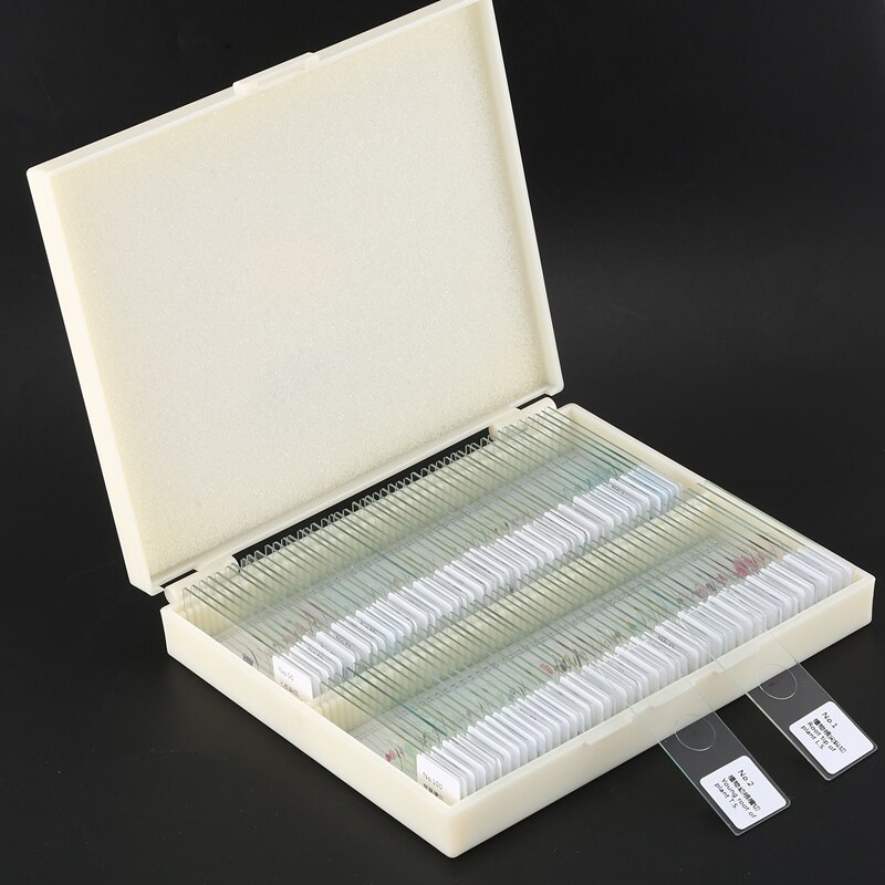 Best 100PCS Glass Slice Prepared Microscope Slides Educational Specimen Human Tissue Sections with Plastic Box