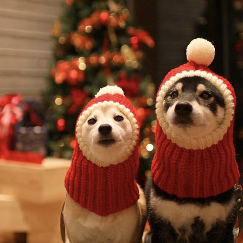 Strikket kæledyrshue julehundehætte vinter varme hundehatte til hunde katte tilbehør uld fransk bulldoghætter til hunde årshatte