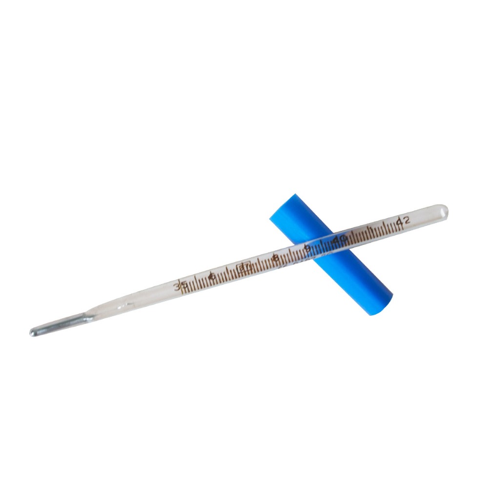 10 teile/los Glas Klinische Thermometer Quecksilber Flache Thermometer Körper Temperatur Messgerät