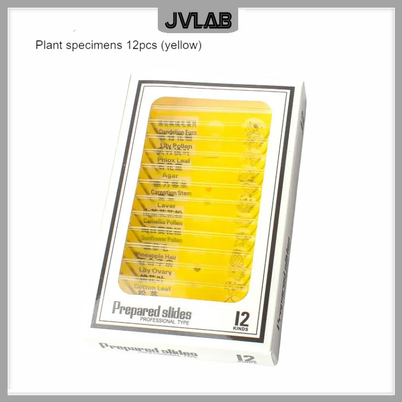 Microscope Slides 12 Children's Standard Microscope Special Plastic bio-slice Specimen Animal Insect Plant Flower Sample Slice