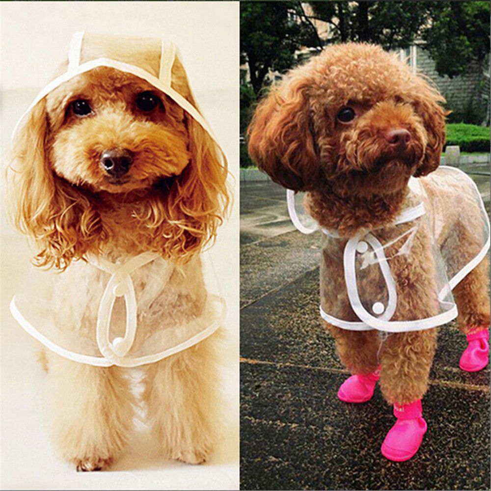 Foldbar vandtæt gennemsigtig regnfrakke regntøj poncho tøj kjole med farve kant til hvalp hund puddel kæledyr regnfrakke