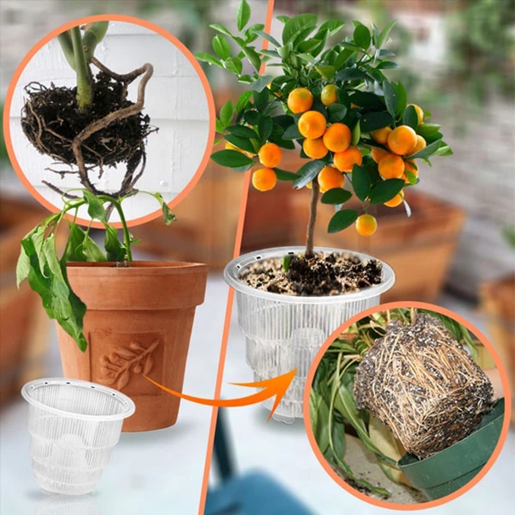 Blomstervase 10/12/15cm orkidé klar urtepotte plastik slidsede åndbare orkidékrukker havekrukker plantekasser горшок для цветов