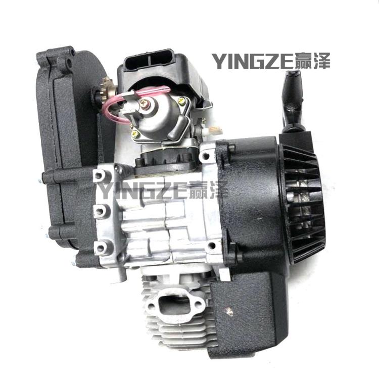 49CC 2 Stroke MINI Motorcycle Motorized Engine
