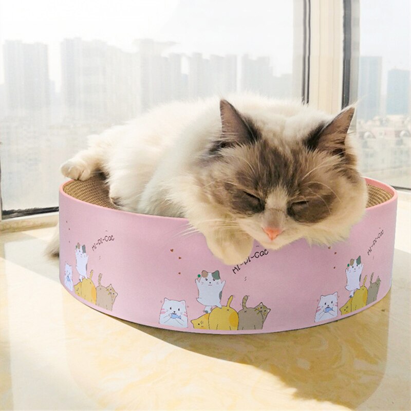 Katze Runde Gut Papier kratzen Gremium Bett matt Kätzchen Katzenminze Scratcher Krallen Pflege Schleifen NäGel Haustier Katze Kratzen Karton
