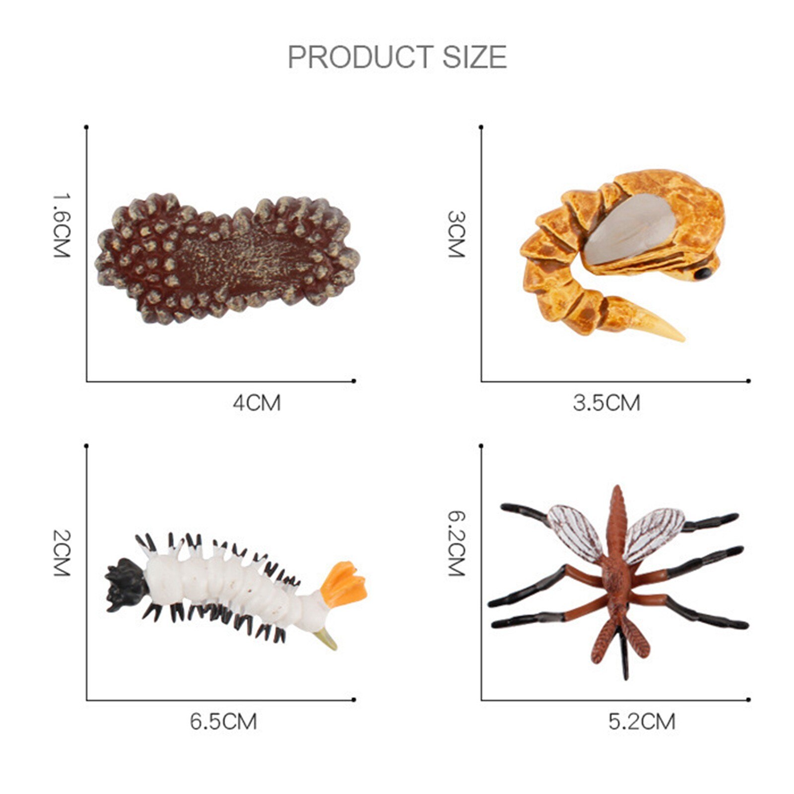 Animals Growth Cycle Life Cycle Model Set Frog Ant Mosquito Sea Turtle Simulation Model Action Figures Teaching Material