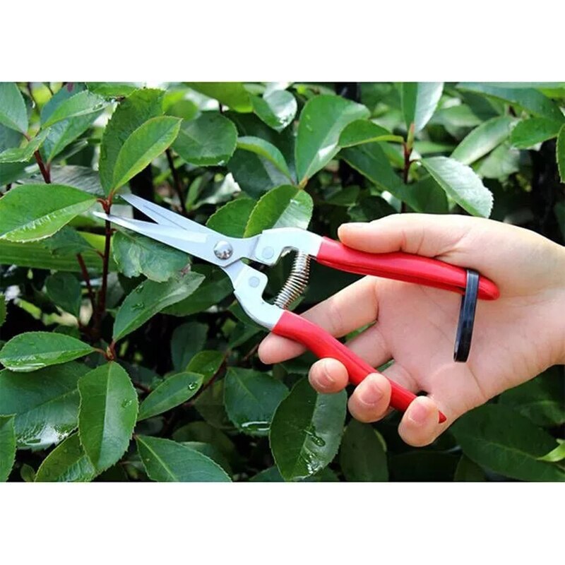 Stainless Steel Tree Pruning Garden Shears Grass Fruit Cutter Gardening Scissors Branch Pruners BOM666