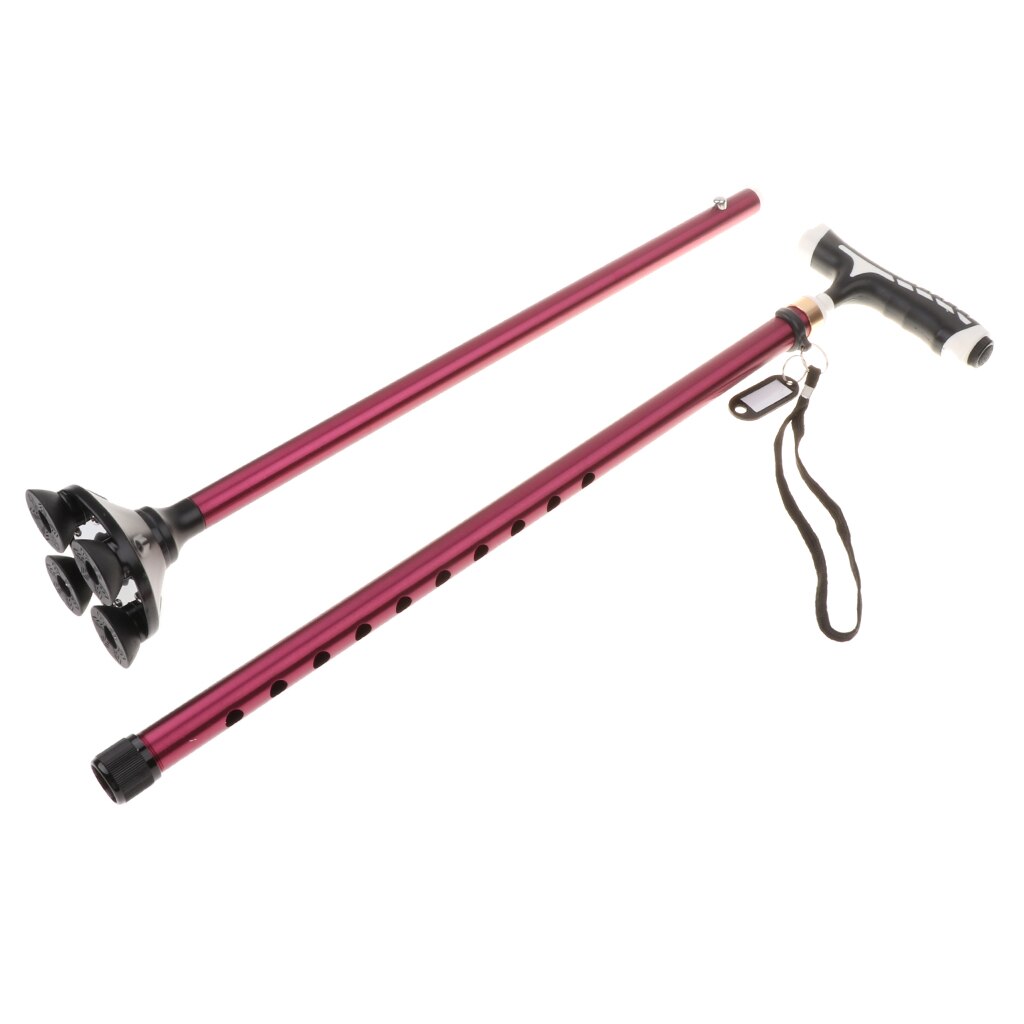 Telescopic 2-Section Trekking Poles Walking Hiking... – Vicedeal