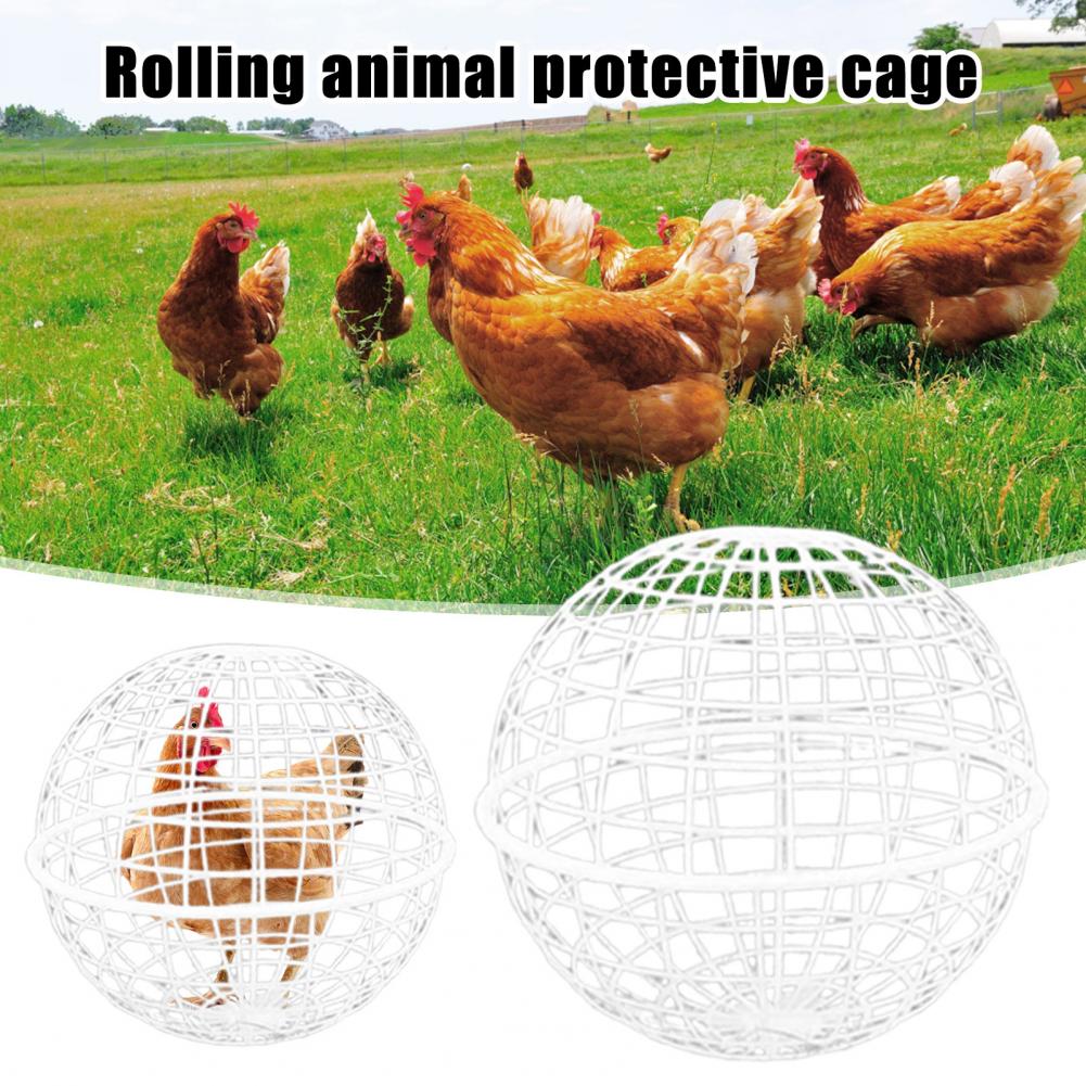 Ball Shaped Movable Chicken House Rollable Poultry Enclosure Round Hutch Plastic Chicken Rolling Cage for Chicks Rabbits Birds