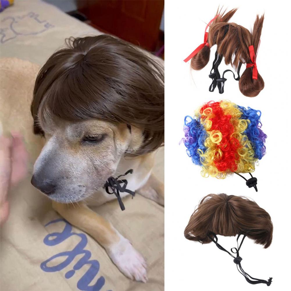 Perruques pour animaux de compagnie, en Fiber de Nylon, libère rapidement la perruque pour chien, Costumes pour Cosplay, tenues d&#39;anniversaire pour chien