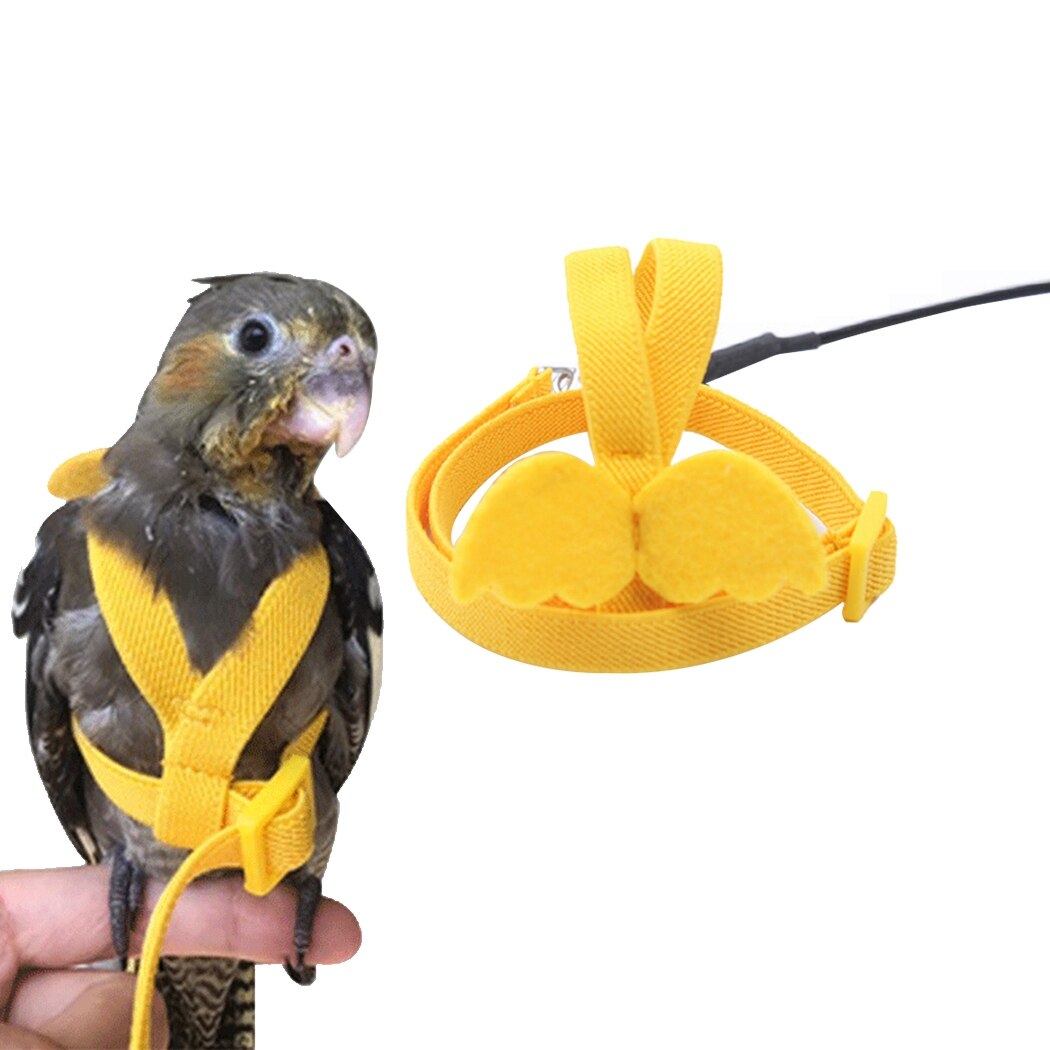 Ensemble de harnais et laisse pour perroquet, corde d'entraînement en vol en plein air réglable avec aile pour petits et moyens oiseaux, perruche de calopsitte: 5