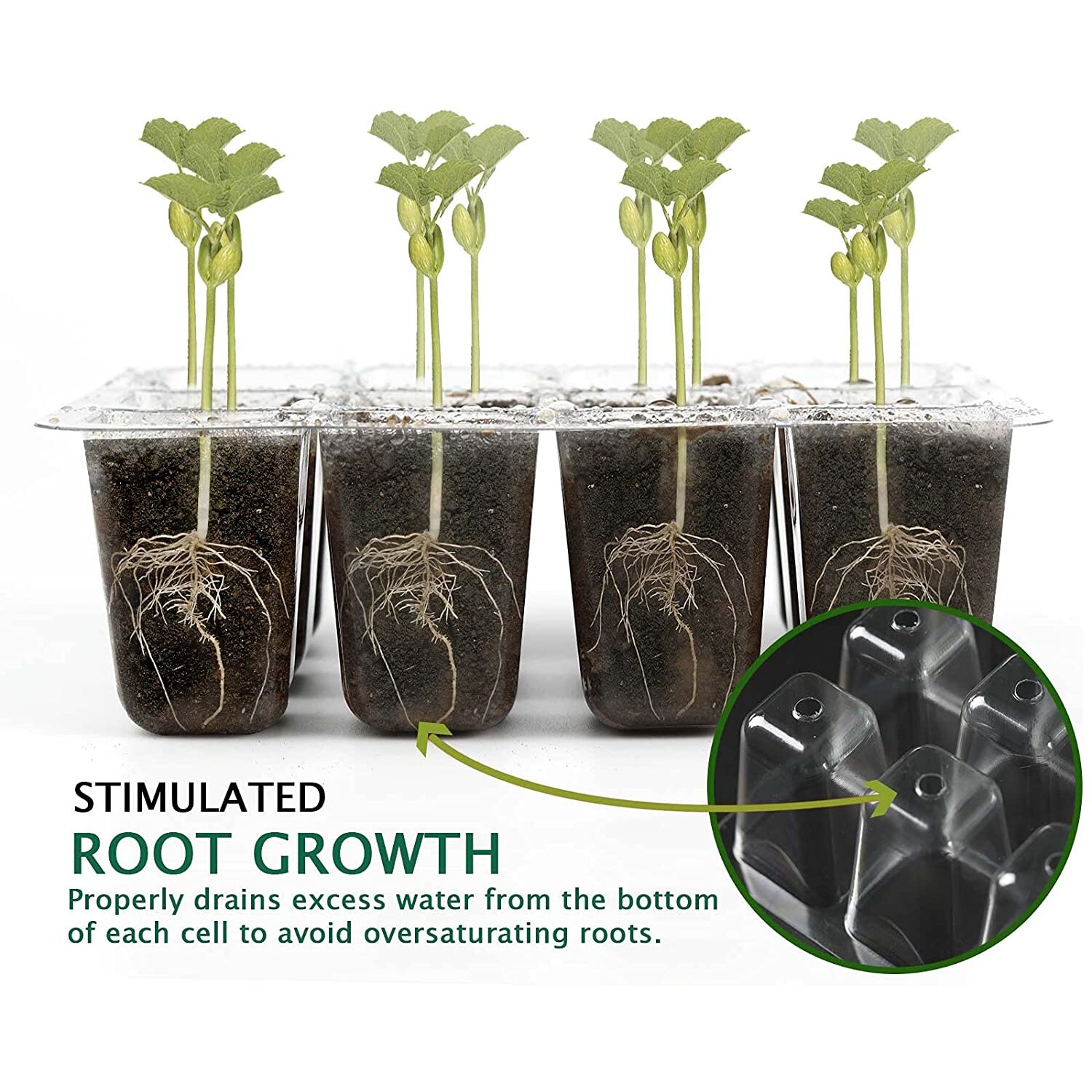 6/12 Cells Seed Starter Kit Plant Seeds Grow Box cSeedling Trays Germination Box with Dome and Base for Seeds Growing Starting