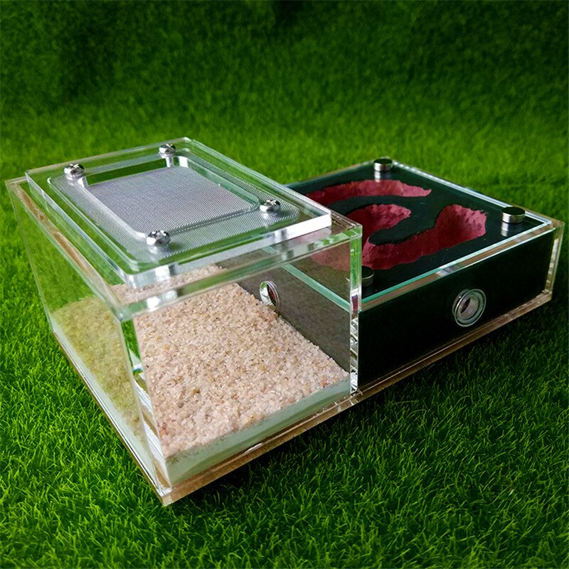 Plaster Ant Nest Acrylic Ant Farm Ants Queen House Insect Cage Anthills Pet Ant House: Type5