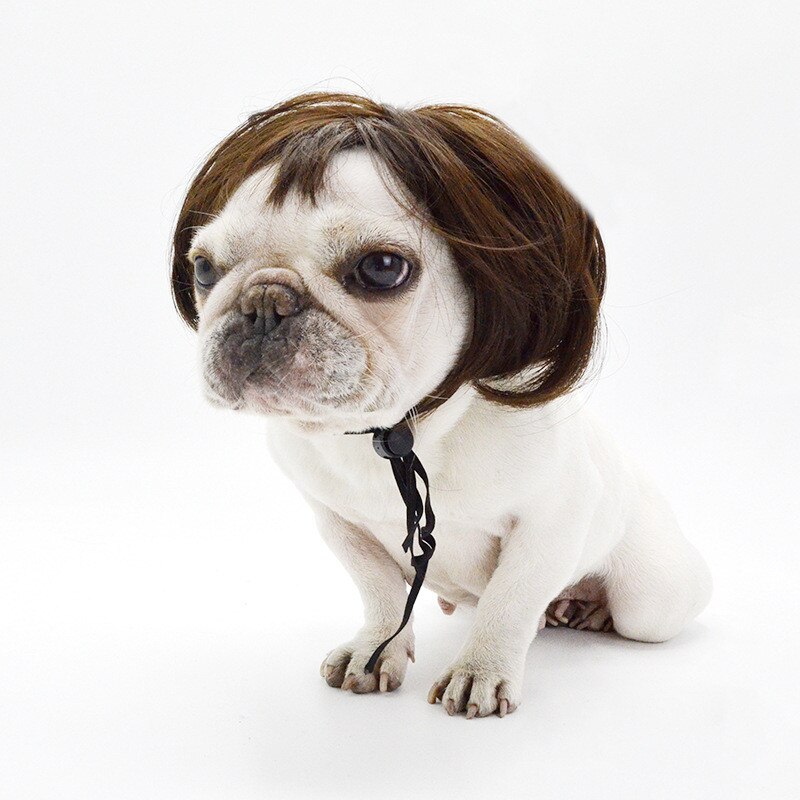 Pelucas para mascotas, accesorios de Cosplay divertidos para perros y gatos, sombrero de pelo de peluquería cruzada, disfraces, accesorios para la cabeza, suministros para mascotas de Navidad: Black straight hair