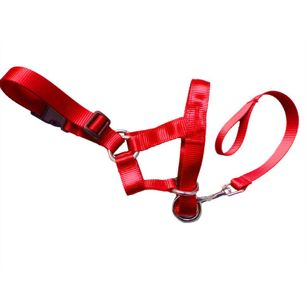 Au Dogalter Hond Halter Halti Training Hoofd Kraag Gentle Leader Harnas Nylon: Rood / Xxl