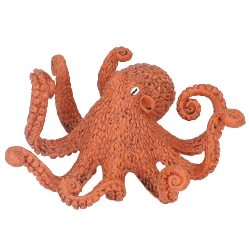 Growth Cycle Toy Vivid Real Growth Cycle Model for Early Education