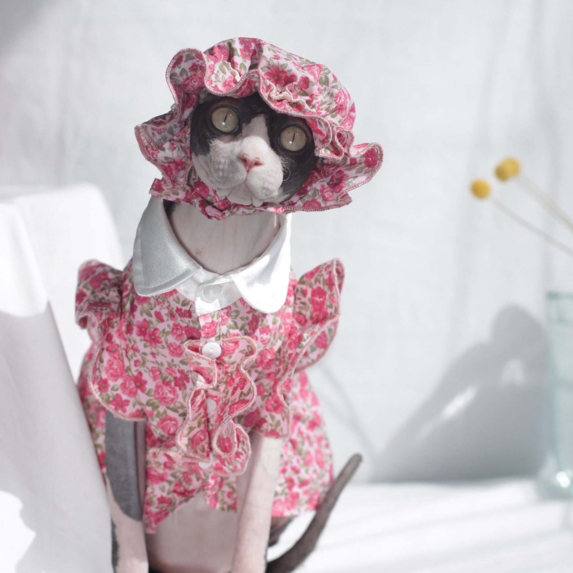 Koszula dla kotów letnia cienka sukienka dla zwierzaka sukienka kwiatowa sfinks bezwłosowa czapka dla kota zestaw stroju kota