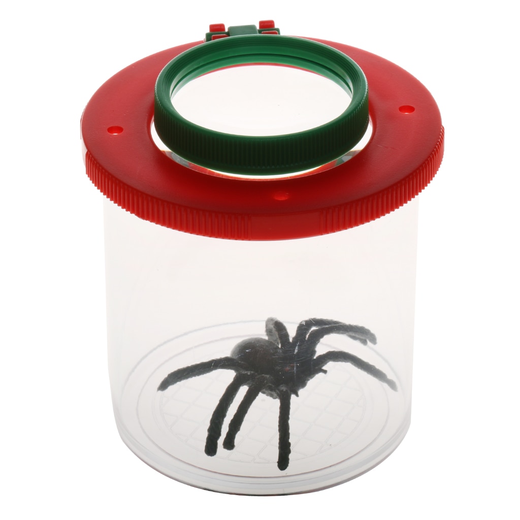 Visionneuse d'insectes loupe boîte à insectes insectes grossissement jouet pour enfant entomologistes attraper les insectes et autres insectes observer Case