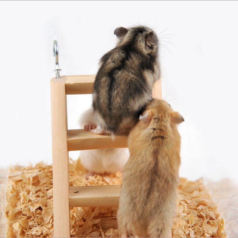 Små djur produkter hamster chinchilla leksaker trä gungsele hängande säng papegoja vila matta husdjur hängande husdjur leksaker tillbehör