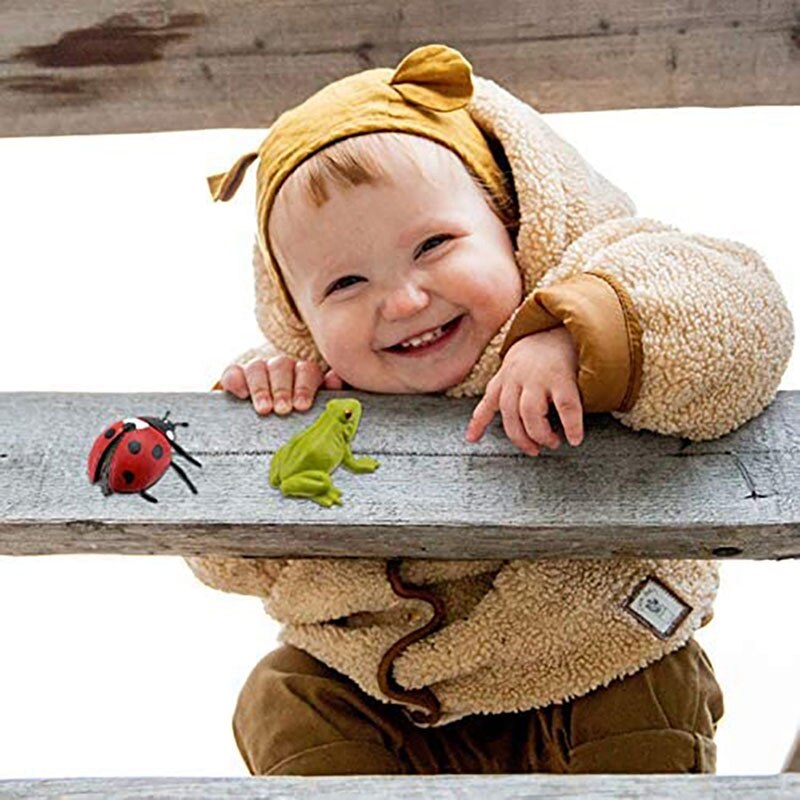 3 Sets Plastic Life Cycle Toys Ladybug Growing Kit Frog Life Cycle Butterfly Life Cycle Kit Bug's Life Toys