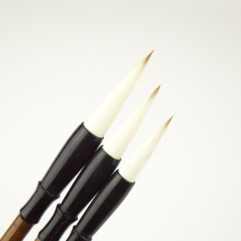 3pcs Chinese Calligraphy Pen Multiple Hair Chinese Painting Brush Pen Set Beginner Calligraphy Practice Writing Brush