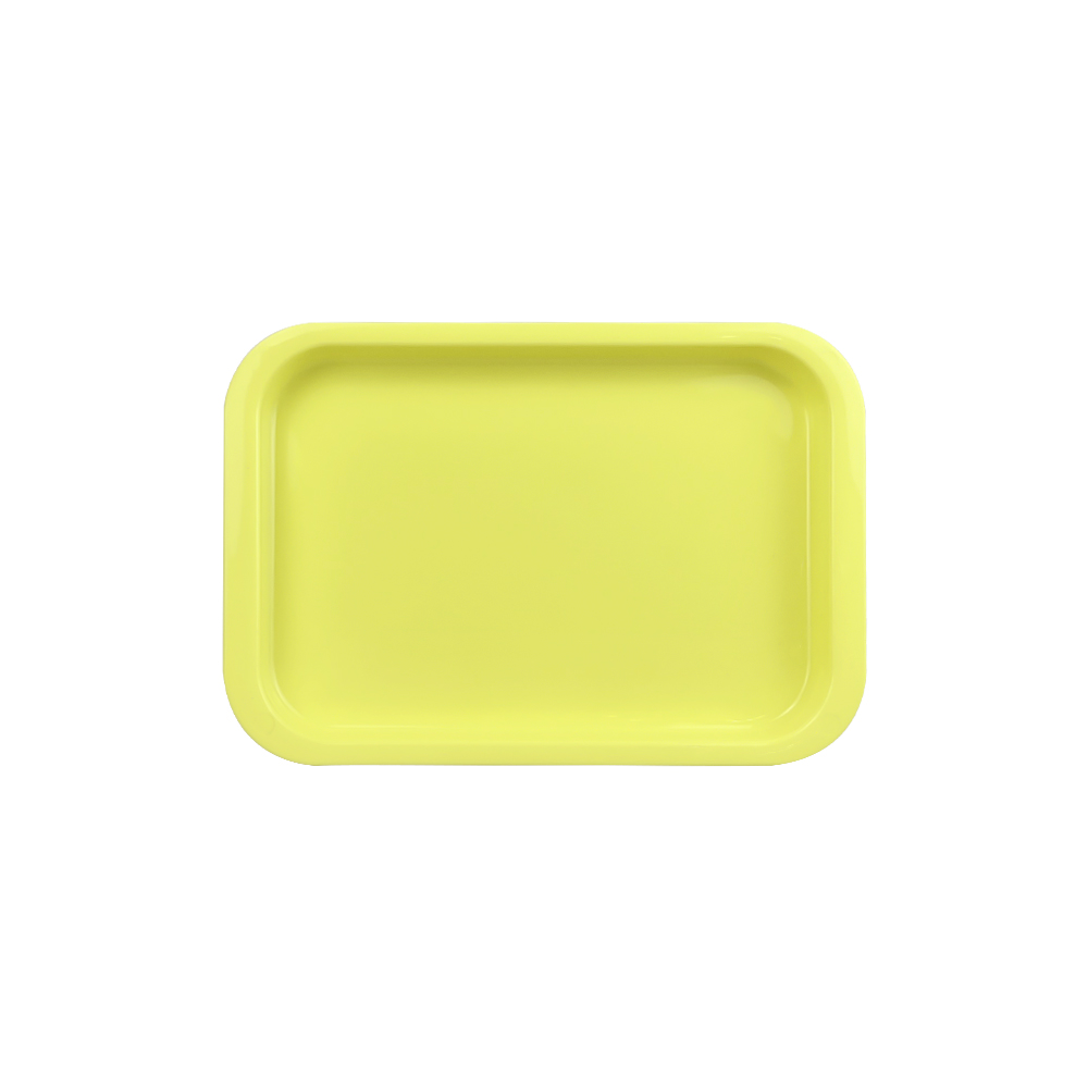 Bandeja de instrumentos de odontología esterilizable, paletas de plástico esterilizables en Autoclave, herramientas de dentista, bandejas planas, accesorios consumibles, 1 Uds.: Plata