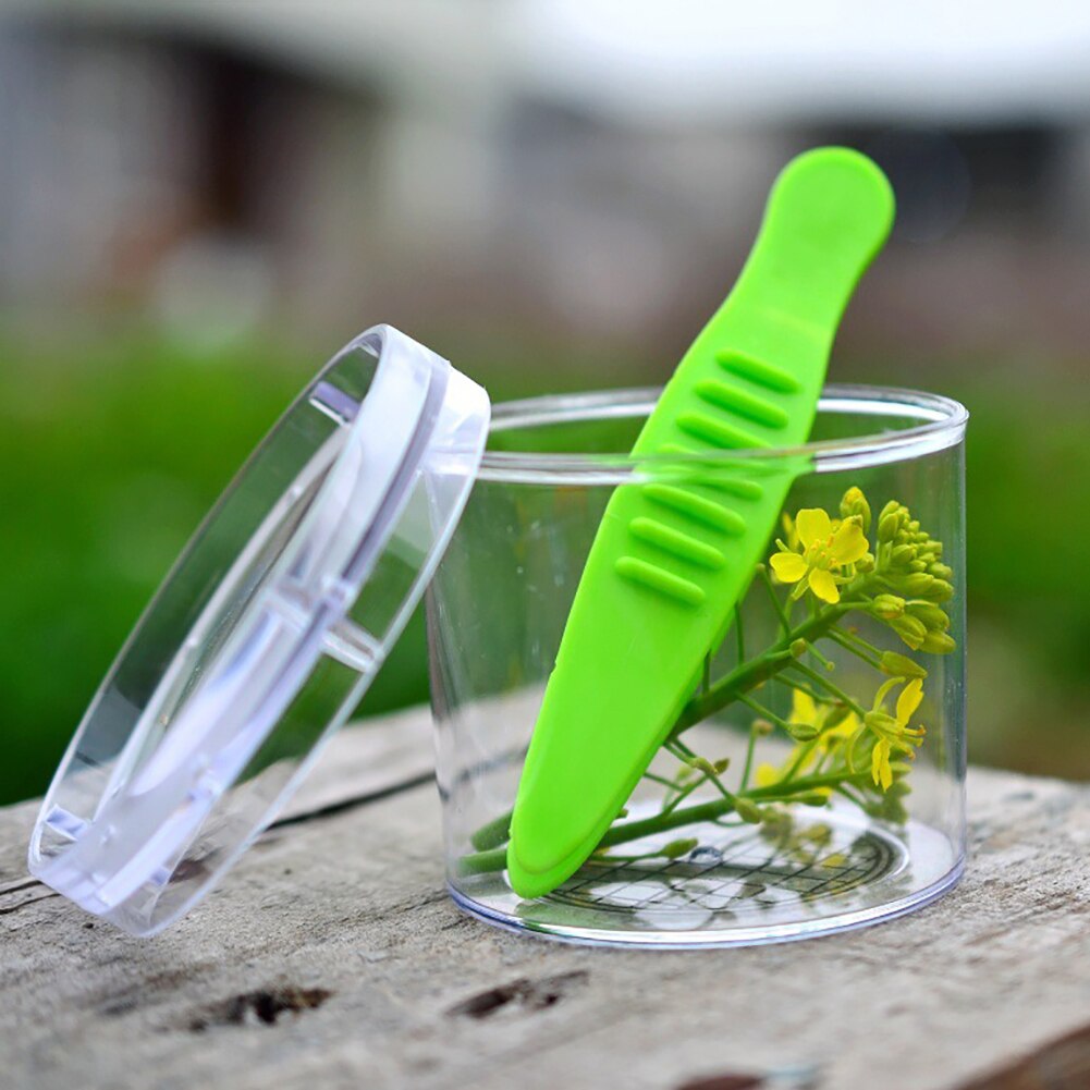 2 Stks/set Bug Insect Observatie Catcher Schaar Tang Pincet Klem Schoonmaken Tool Kids Speelgoed
