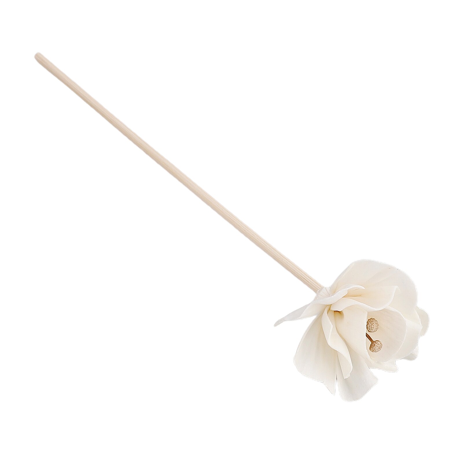 Aroma Oil Diffuser DIY Refill Sticks Aromatherapy Rattan Home Office Wood 6pcs Spa Bed Room Decoration Dried Flower