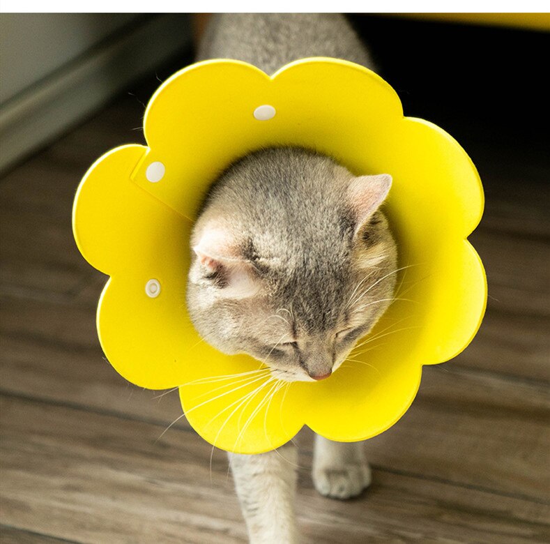 Solblomma form kattvalp hals skyddande cirkel krage anti bett anti grepp anti slickande katt hals elizabethan söt krage
