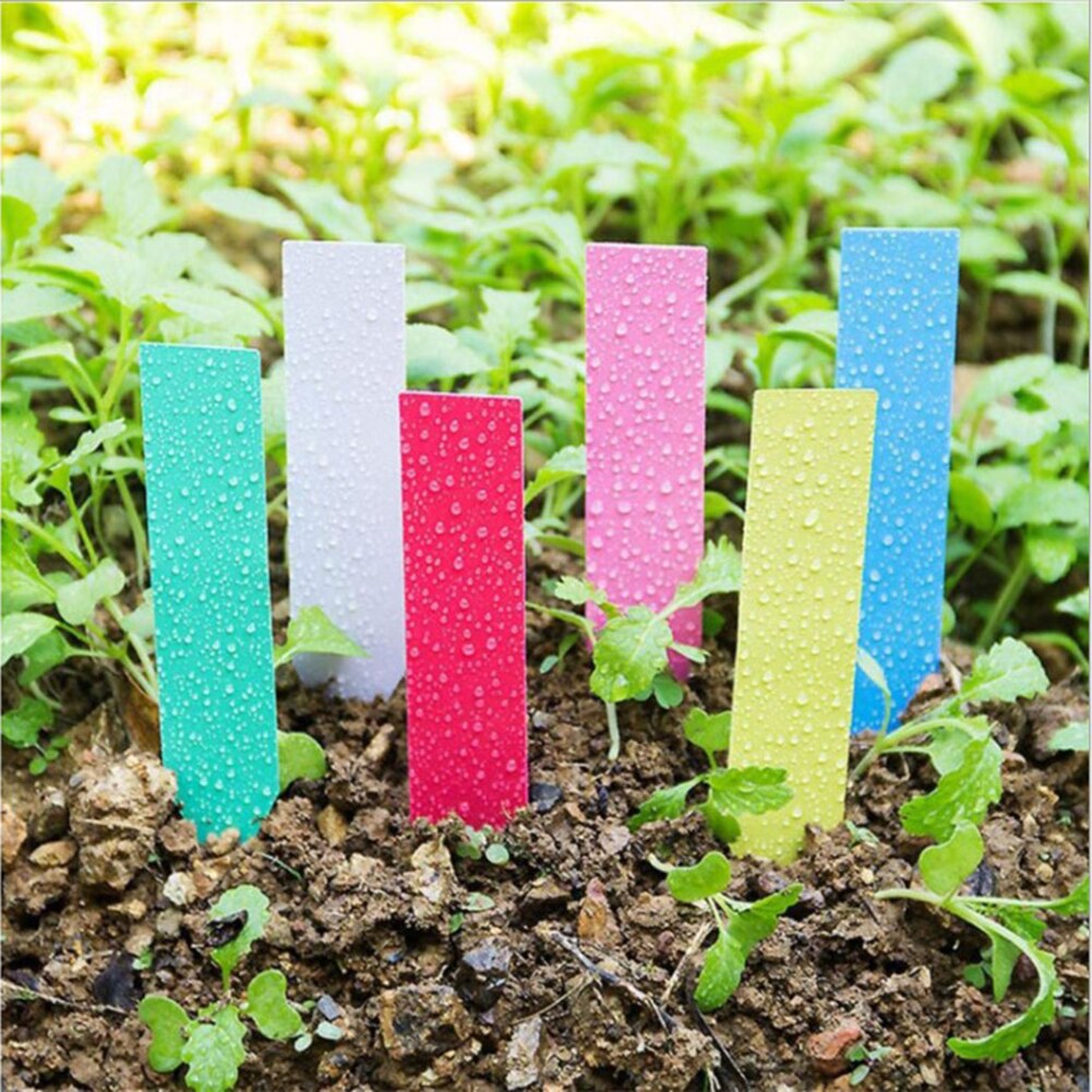 100 st växtetiketter, pålar, växtetiketter, plantskolemarkörer, blomkrukor, plantetiketter, brickmärke, trädgårdsredskap
