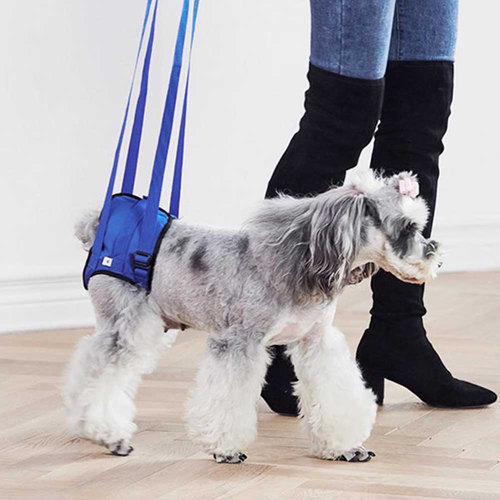 Dierbenodigdheden Uitgeschakeld Hond Ondersteuning Walking Helpen Harnas Draagbare Riem Elastische Mat Achterpoten Ledematen Carrying Revalidatie Oefening