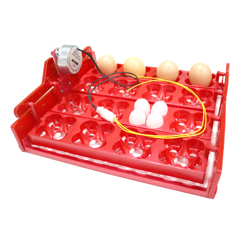 Incubadora automática de huevos de gallina, 16 huevos/64 pájaros, palomas y otras aves, equipo de incubación con Motor