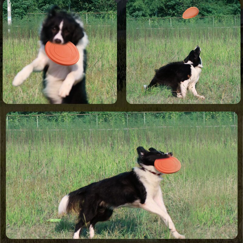 Platillo volante de plástico divertido para perro, juguete para mascotas, discos voladores resistentes, mordedores, adiestramiento de cachorros, 1 unidad