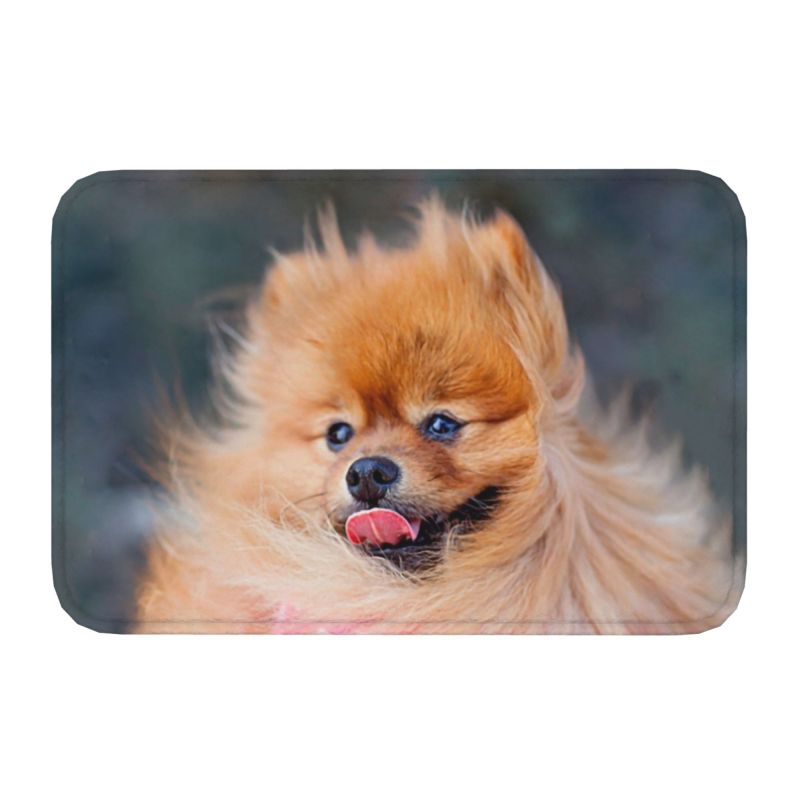 Pomeranian Welpe Bodentür Küche Badezimmer matt Anti-Rutsch draussen Spitz Pom Hund Fußmatt Garten Eingang Teppich Teppich Fußpolster: Grün