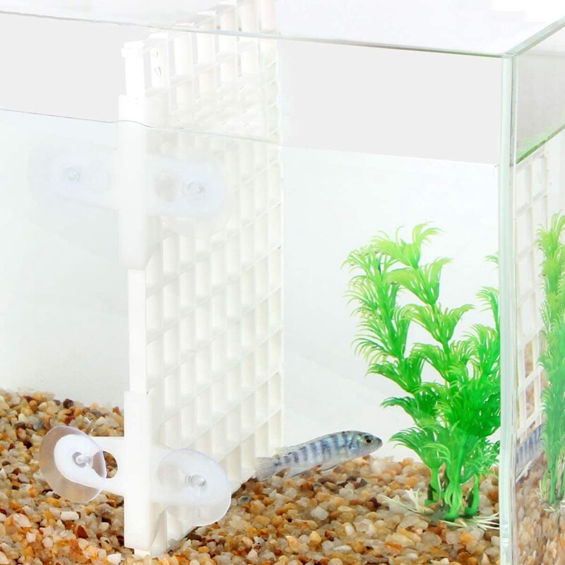 12 Pcs Grid Divider Tray Isolate Board Fish Tank Bottom Transparent White Filter Tray Aquarium Crate